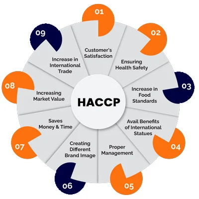 HACCP Certification Consultant